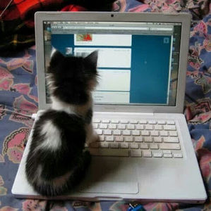 Meet your Posher, Vy